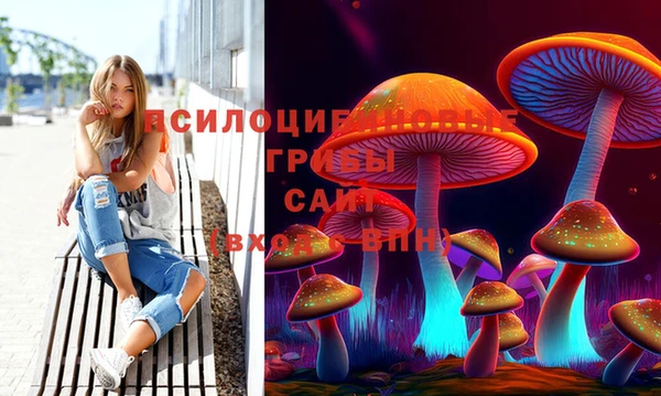 гидропоника Алексеевка