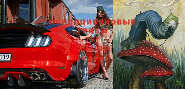 прущие крисы Абдулино