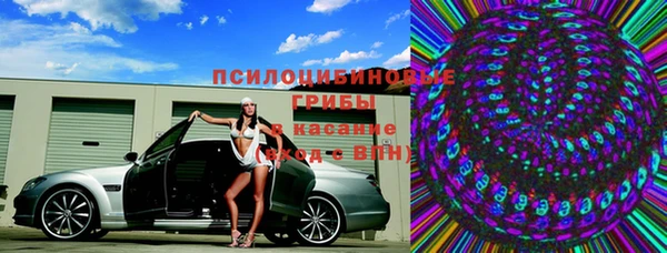 PSILOCYBIN Алзамай