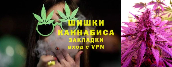 PSILOCYBIN Алзамай