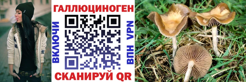 магазин    Ирбит  Псилоцибиновые грибы ЛСД 
